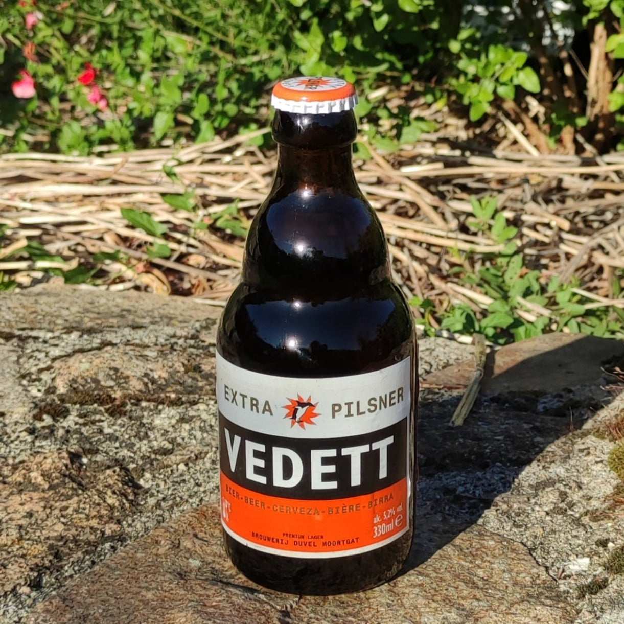 Bière Vedett londe 33cl