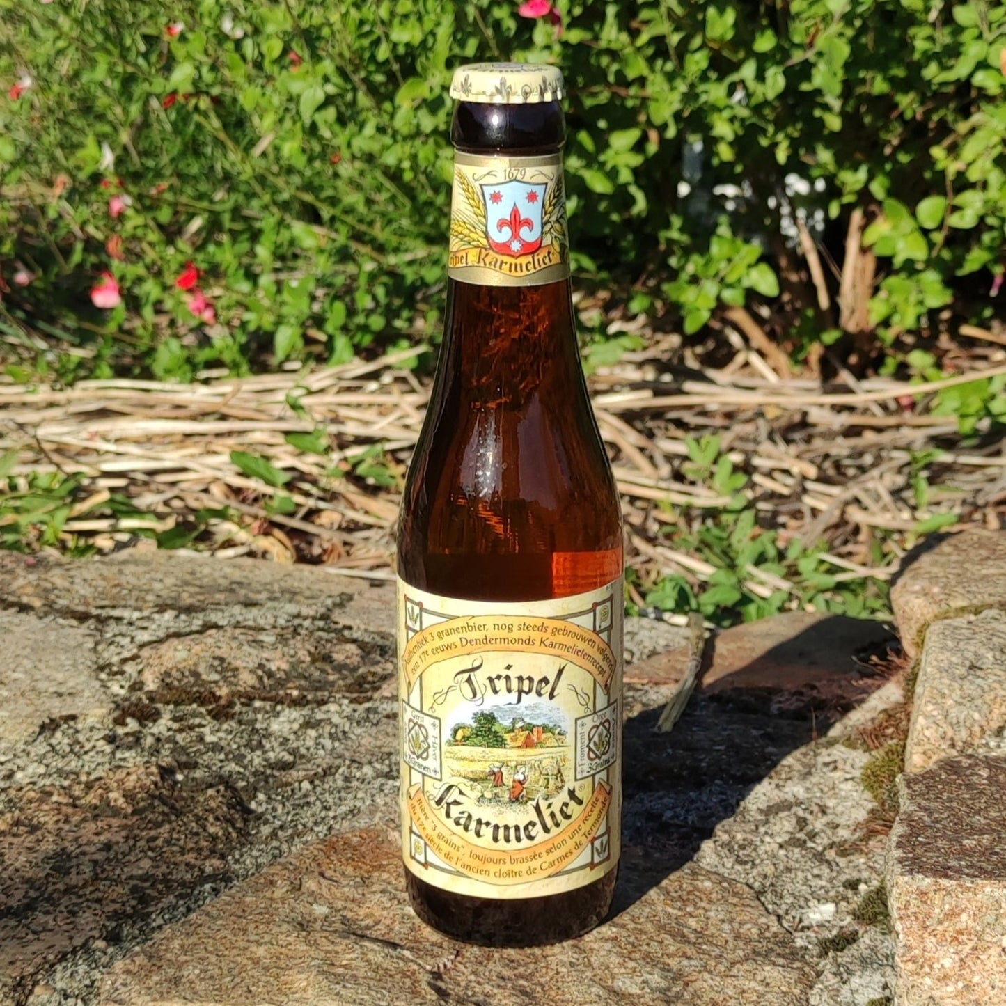 Triple Karmeliet 33cl