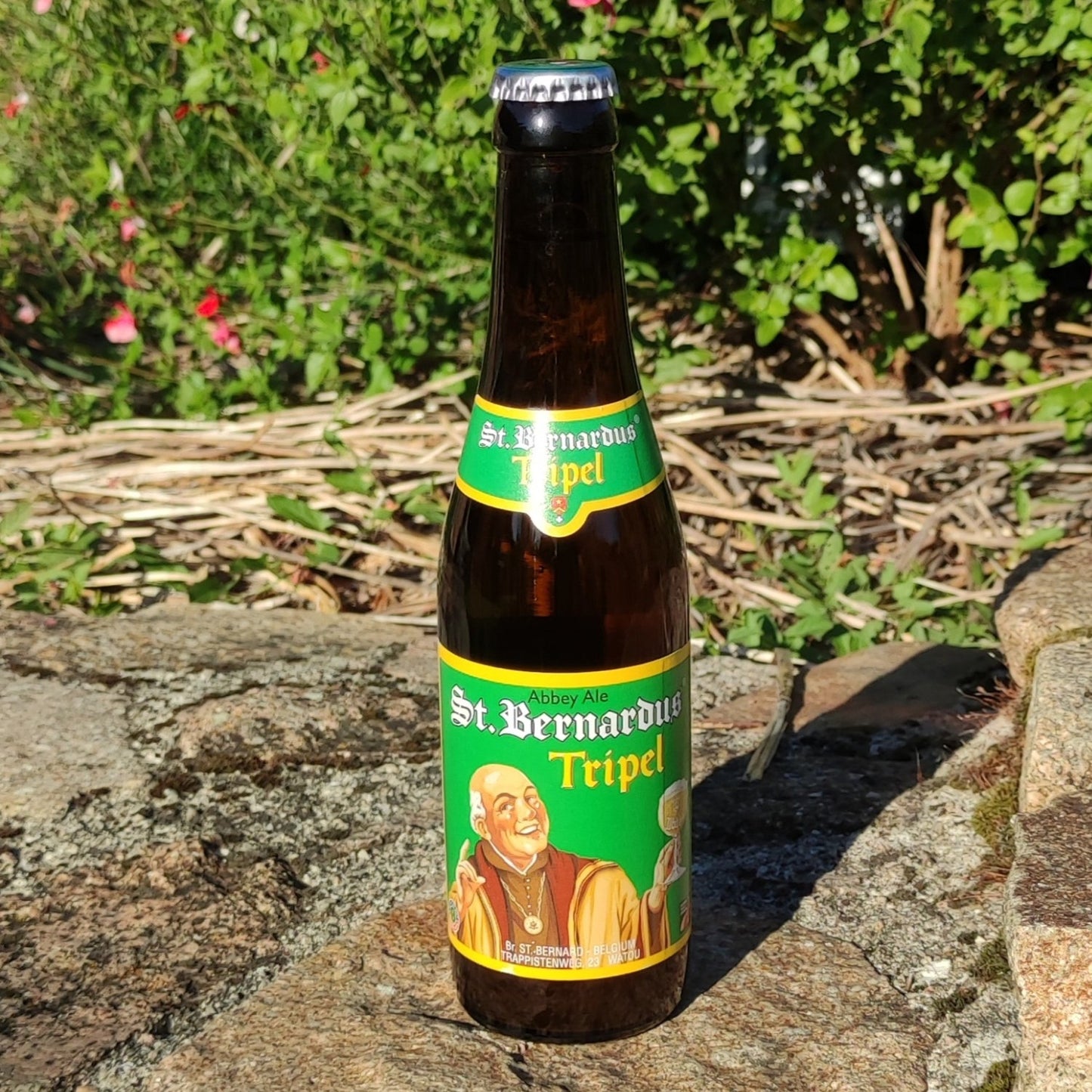 St. Bernardus Tripel 33cl