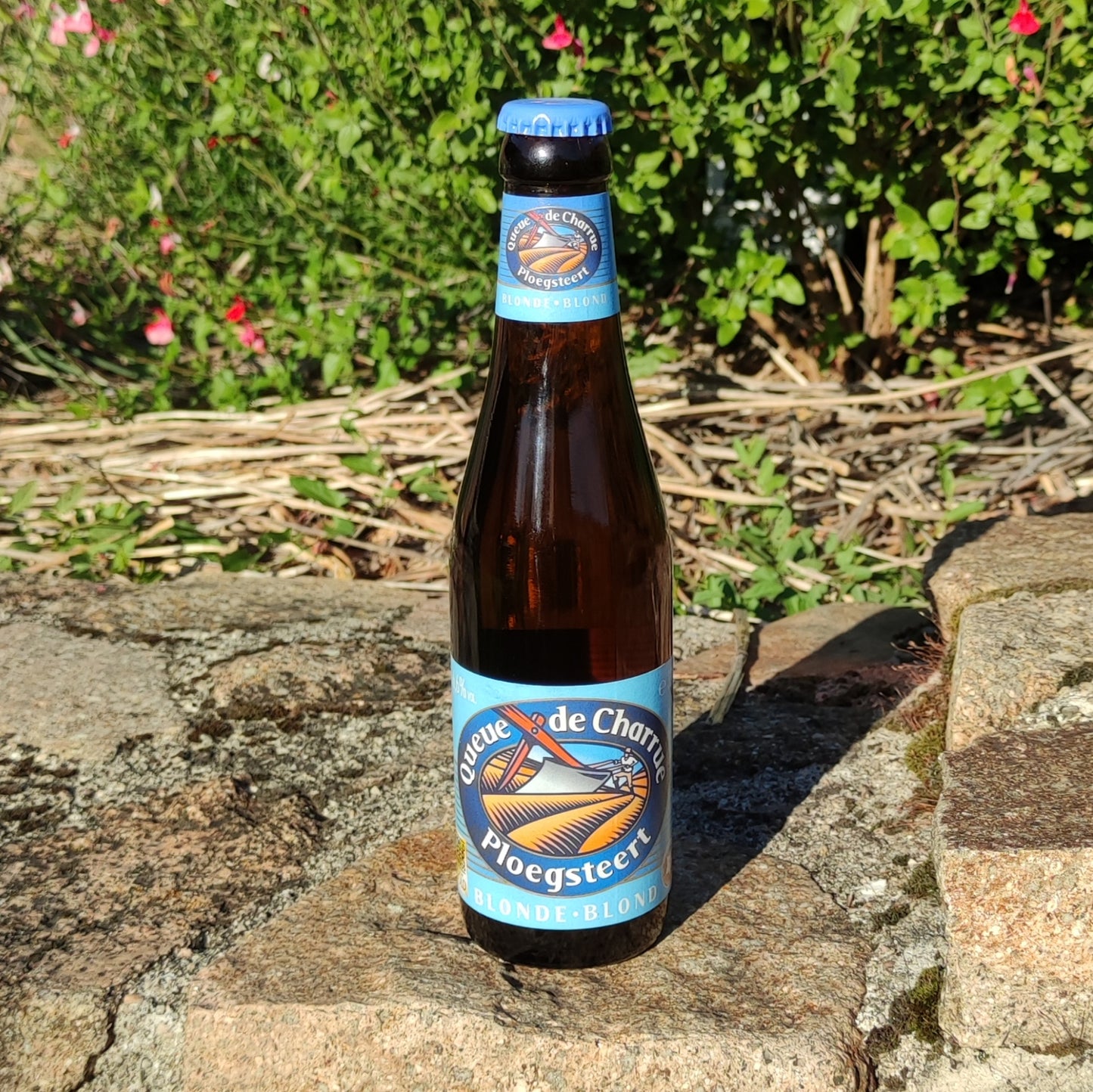Queue de Charrue Blonde 33cl