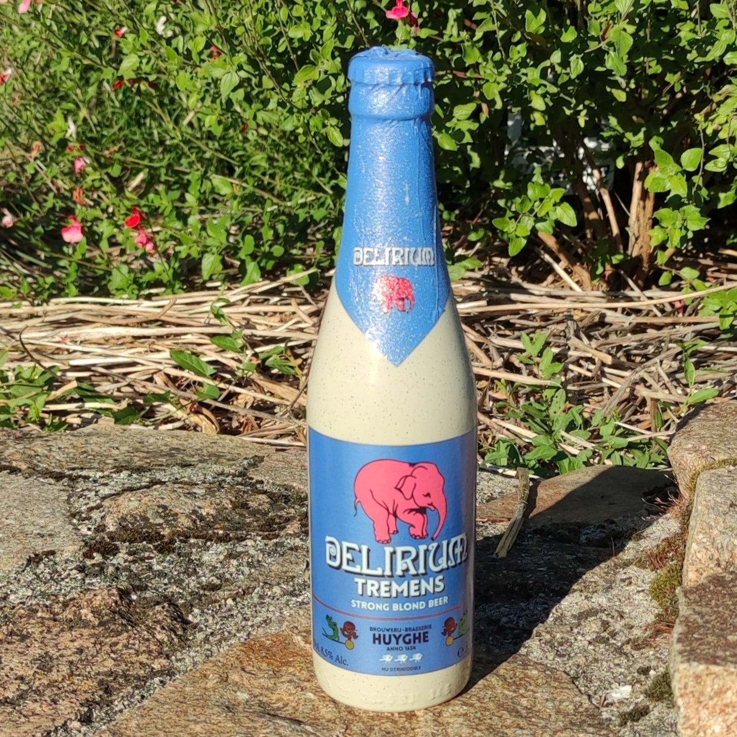 Bière Delirium Tremens 33cl