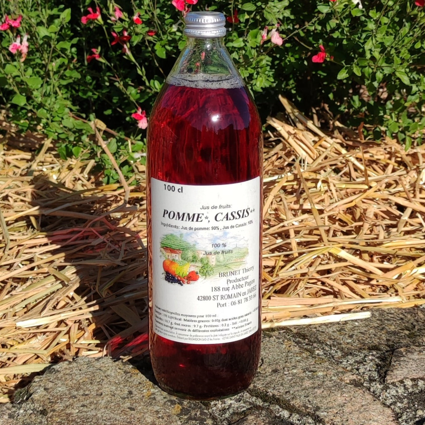 Jus de Fruits Pomme Casis 1L