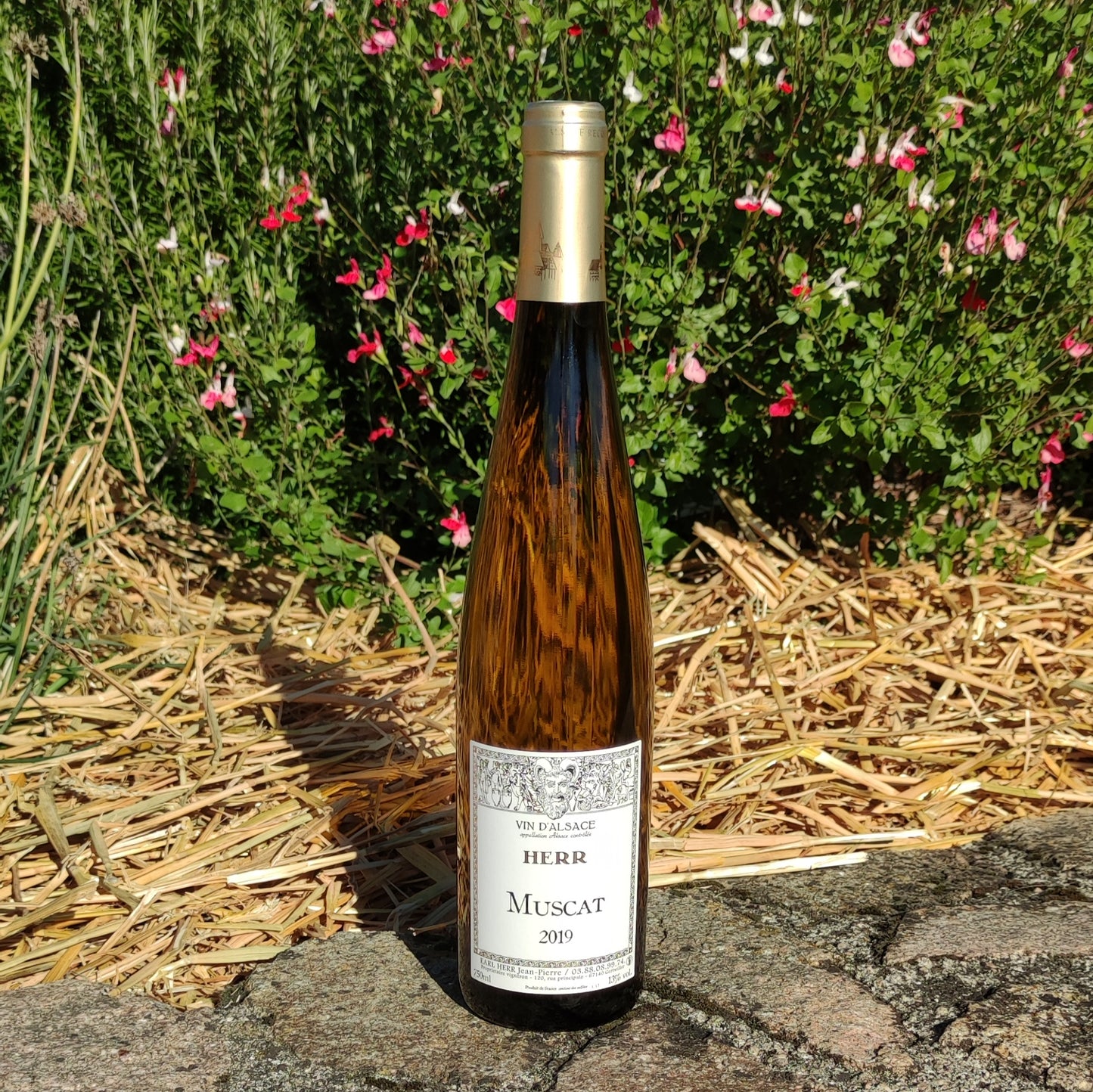 Muscat 2019 750ml
