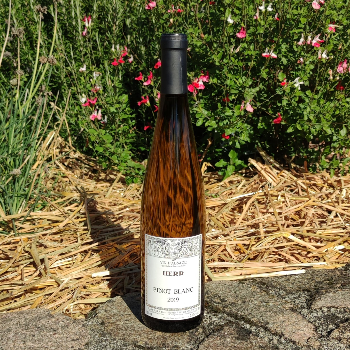 Pinot Blanc 2019 750 ml