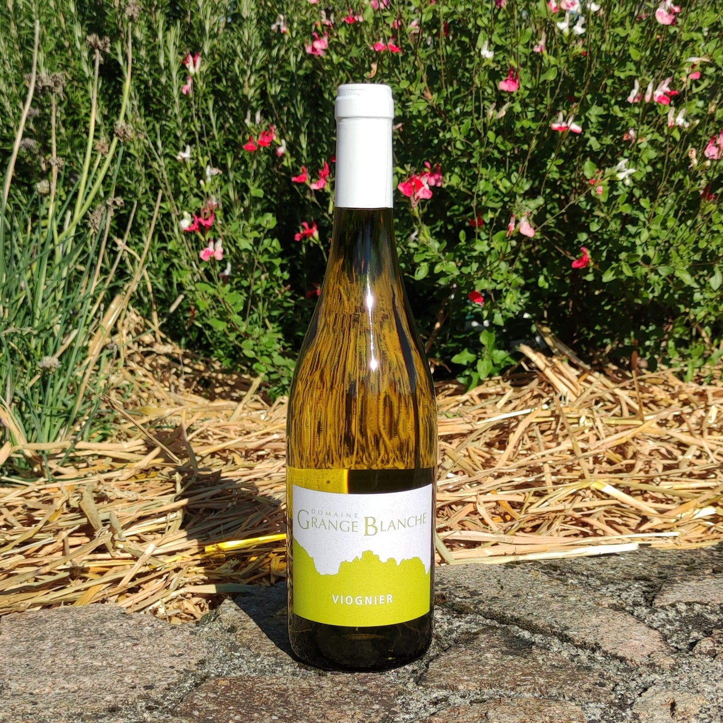 Viognier, Pays du Vaucluse 2018 750 ml