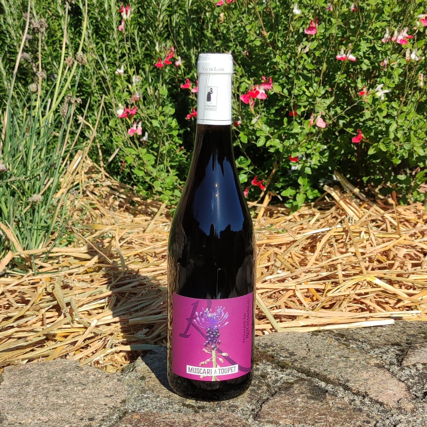 Muscari à Toupet, Anjou Rouge 2020 Biologique 75cl