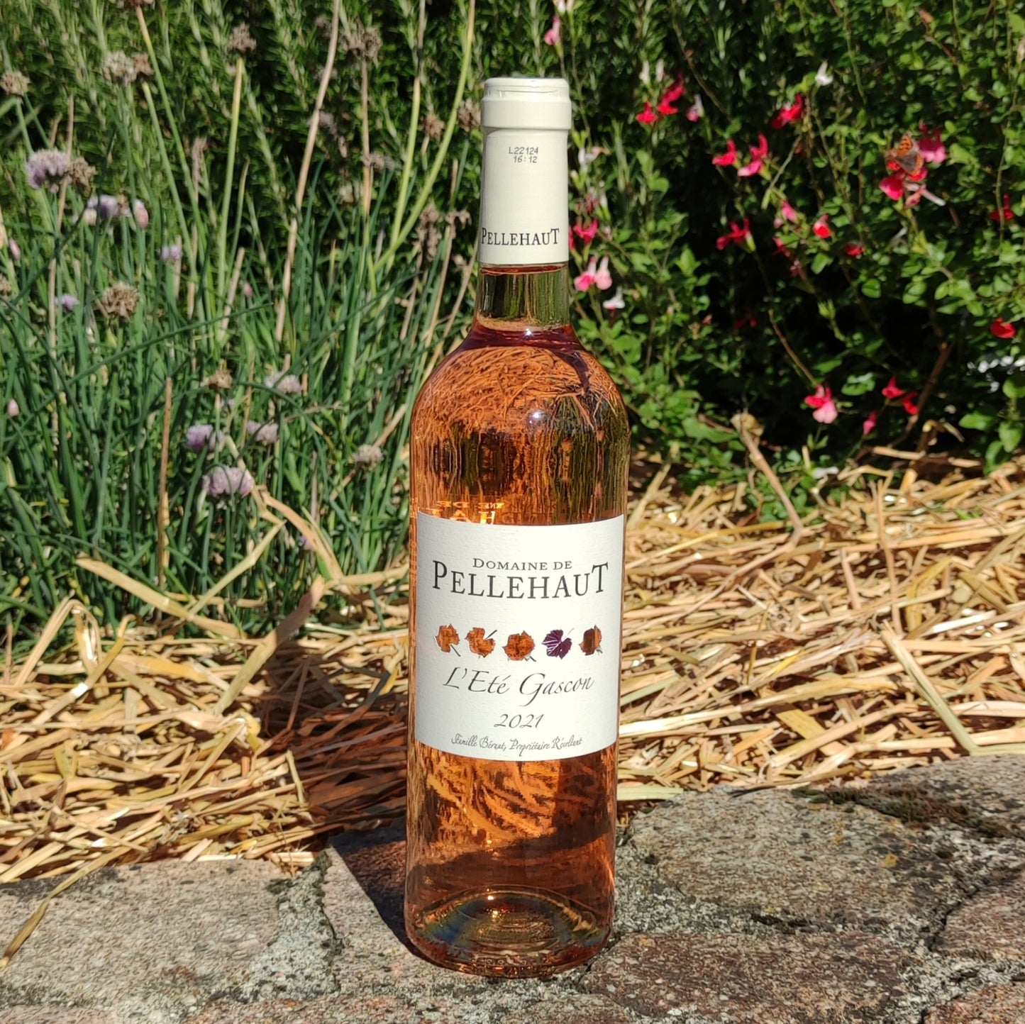 L'Été Gascon Rosé, Côte de Gascogne 2021 75cl