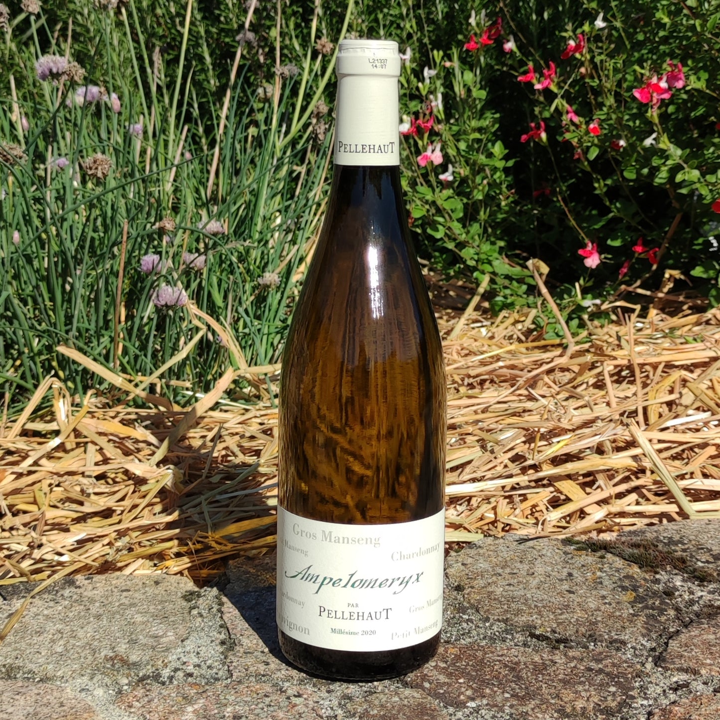Ampelomeryx Blanc 2020 75cl Alc. 13% vol.