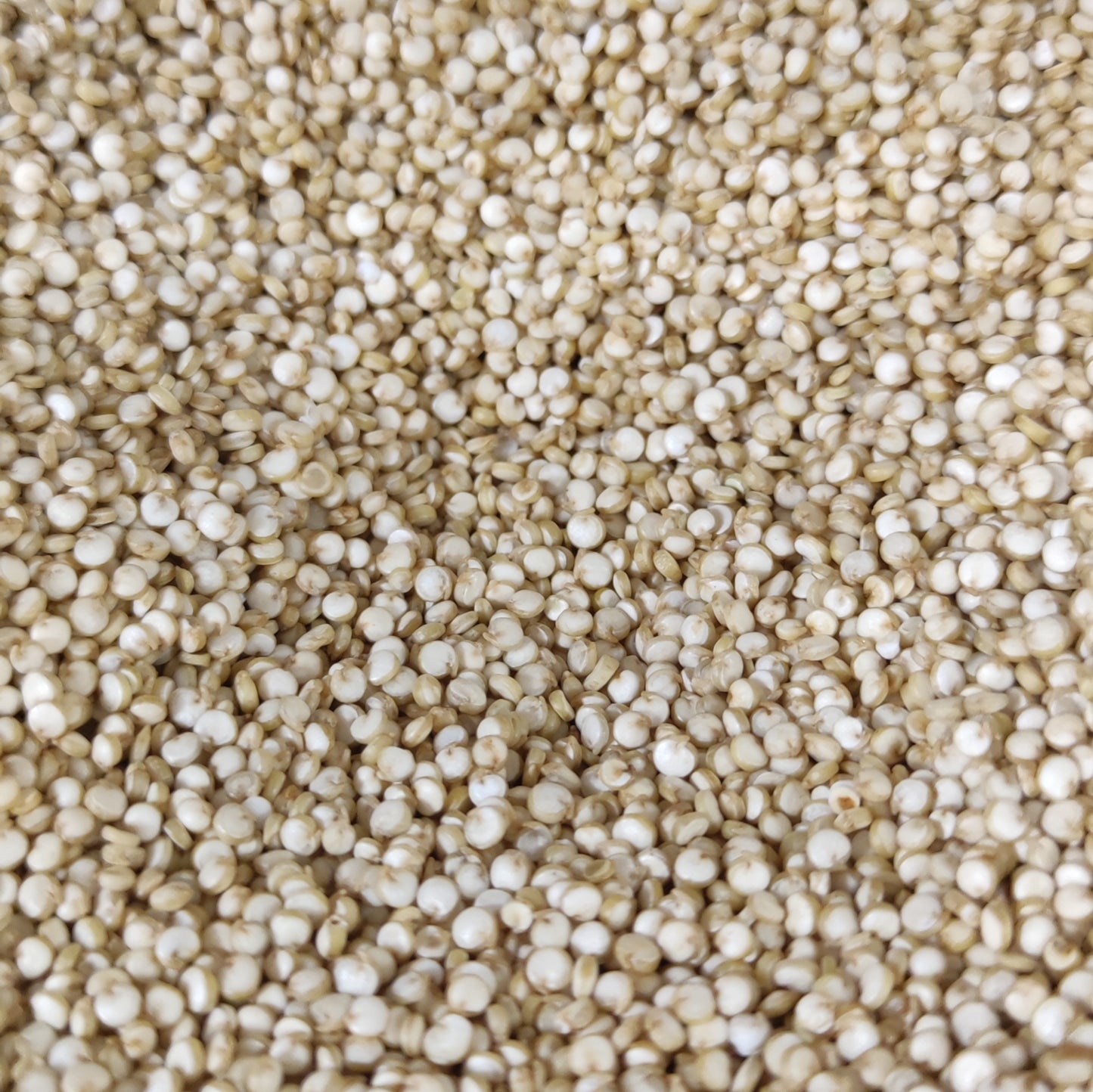 Quinoa Bio du Pérou en Vrac