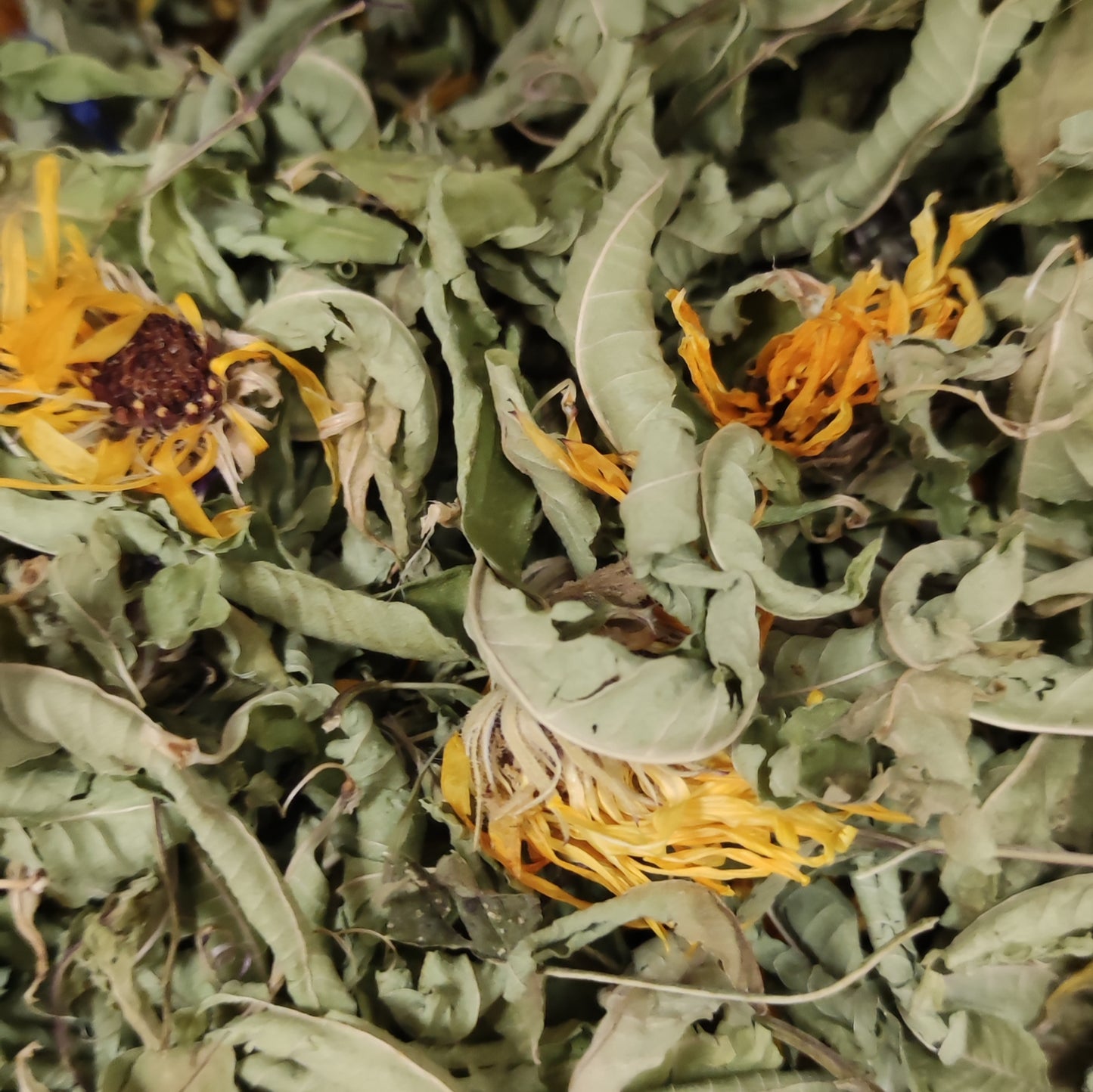 Tisane de Chaque Instant en Vrac