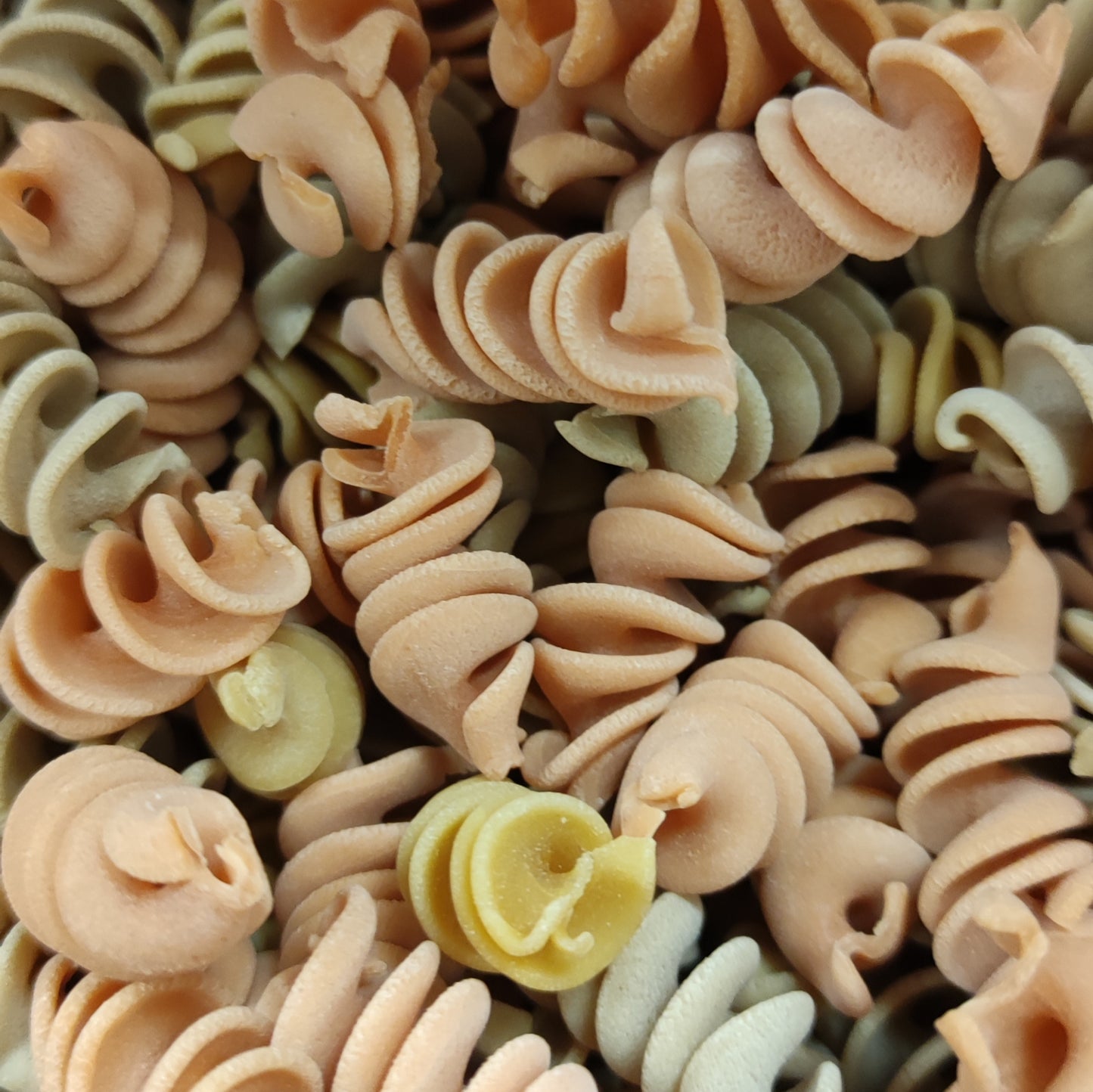 Torsettes Lentilles en Vrac