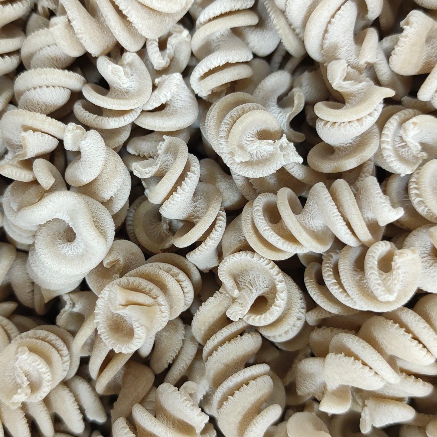 Pâte Sèche Fusilli Biologique en Vrac
